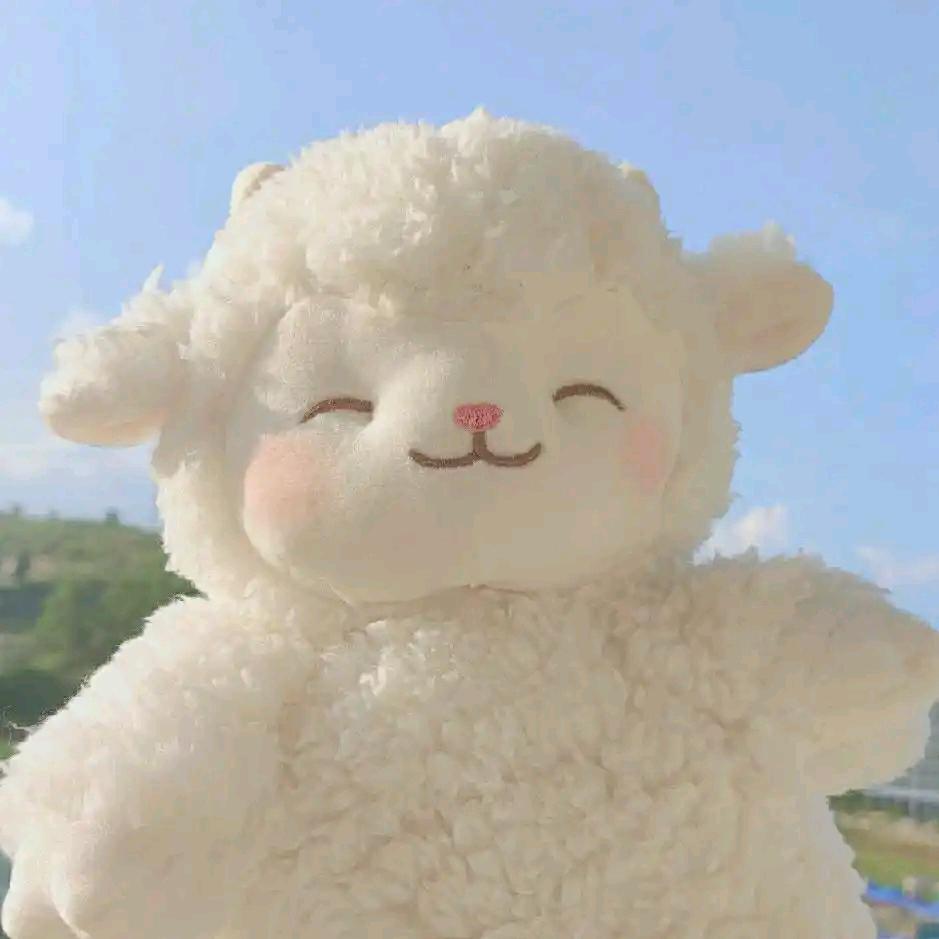 小羊羊洋🐏