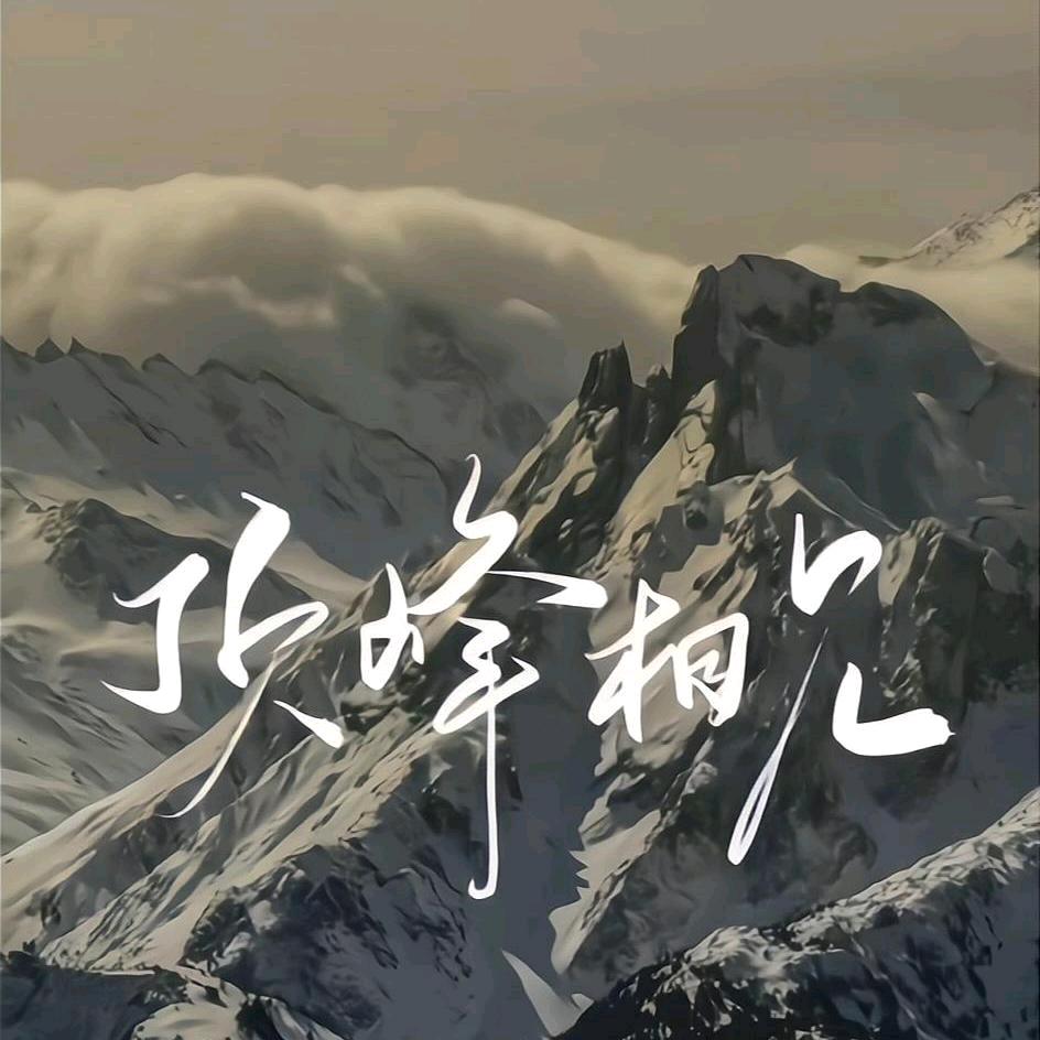 西瓜（短剧运营）