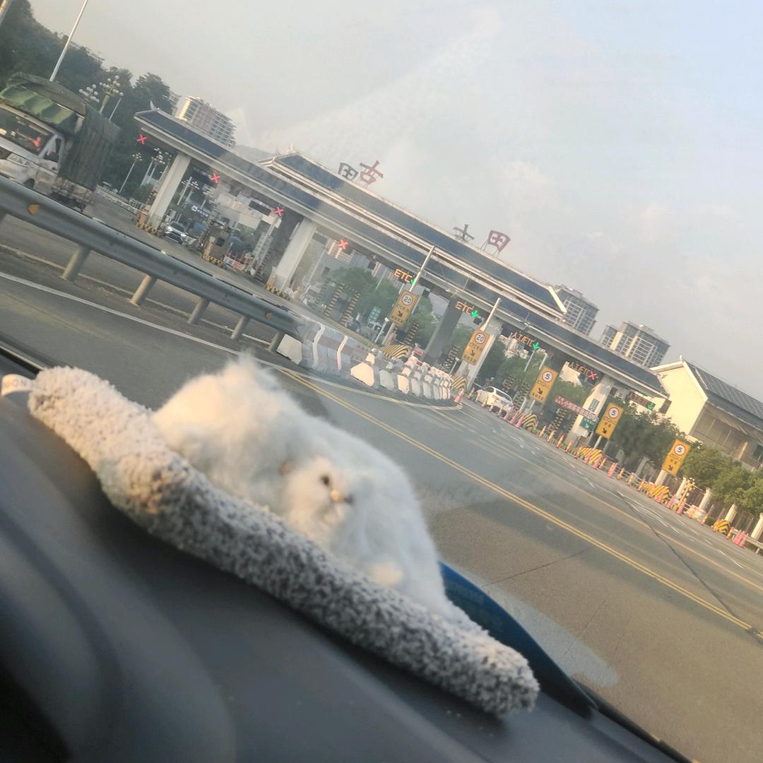 福州阿盛烫发（阿盛烫染工作室）