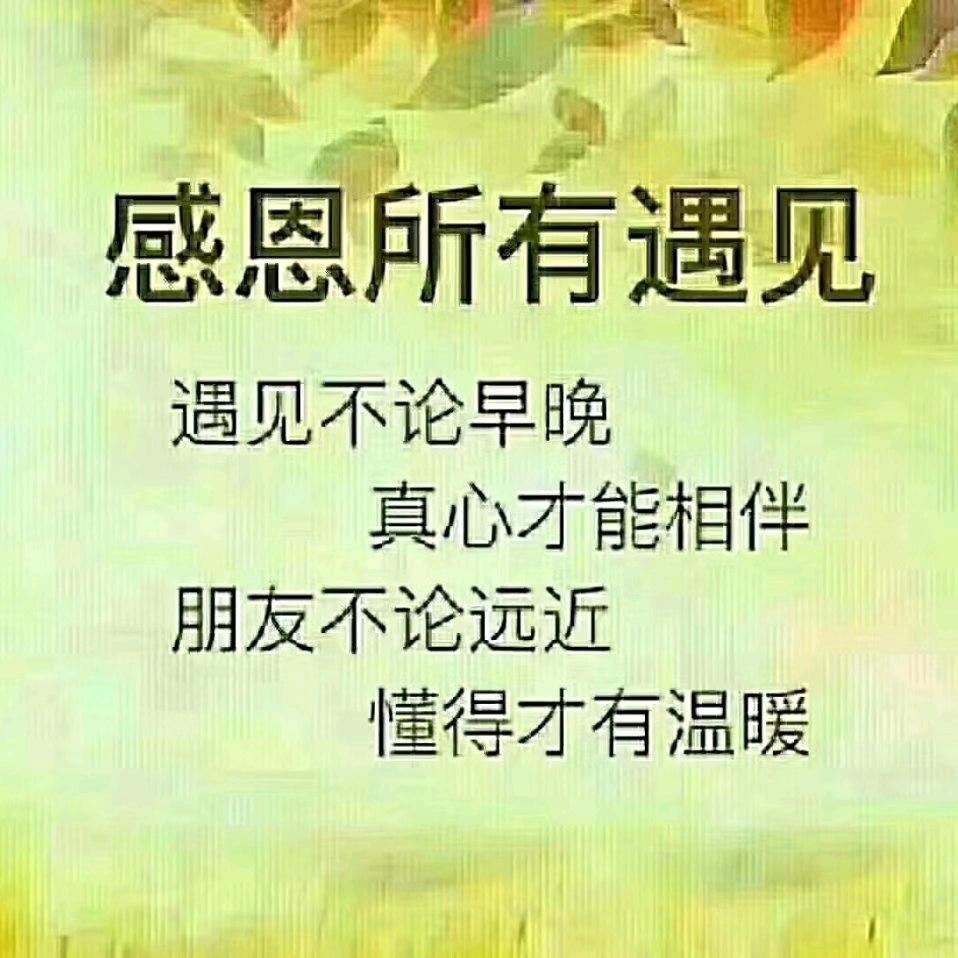 开心果