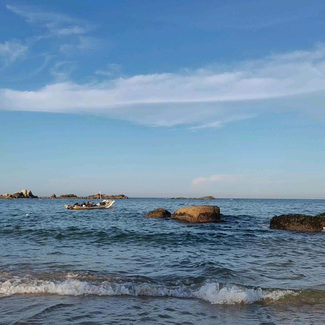 @刘丹