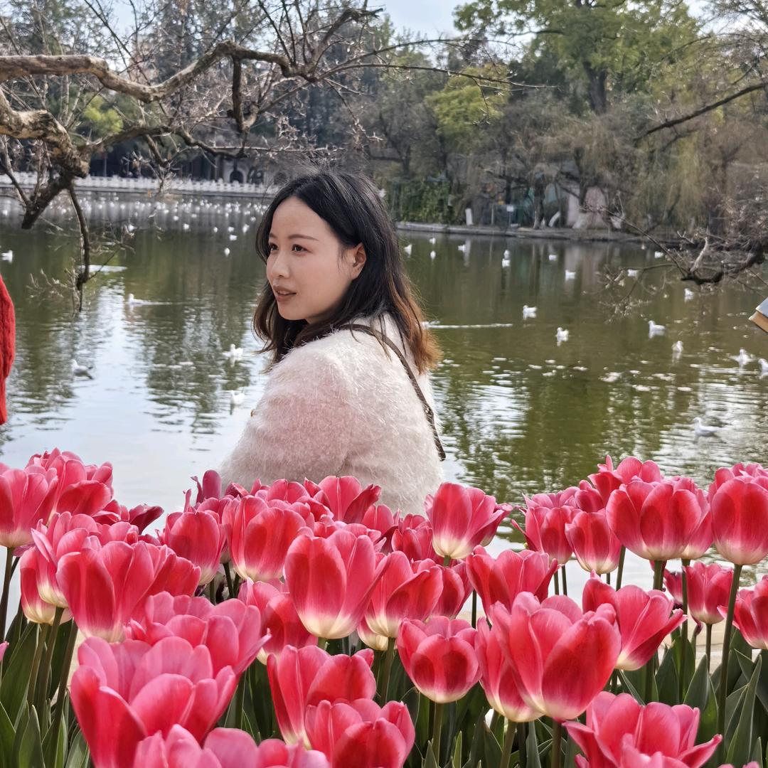 你当如飞鸟