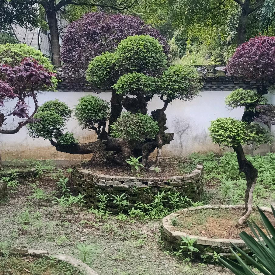 :春风