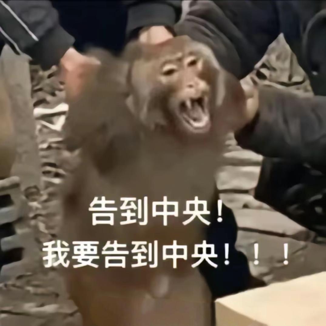 小天、三角洲