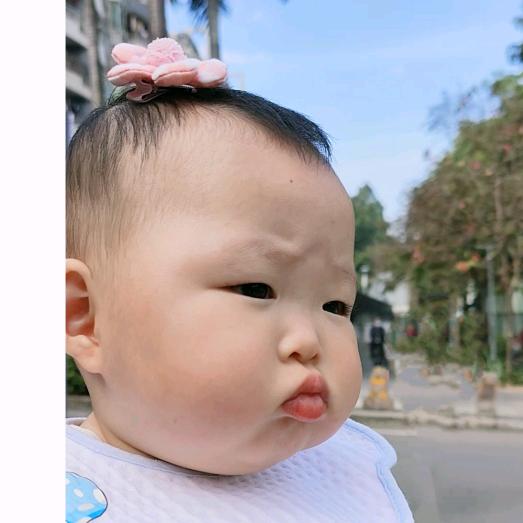 不不姑娘