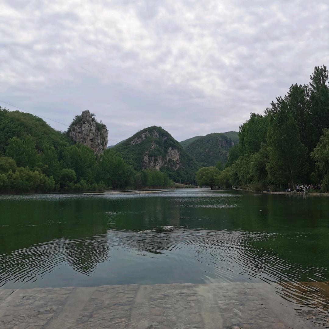 山水（牡丹之乡）