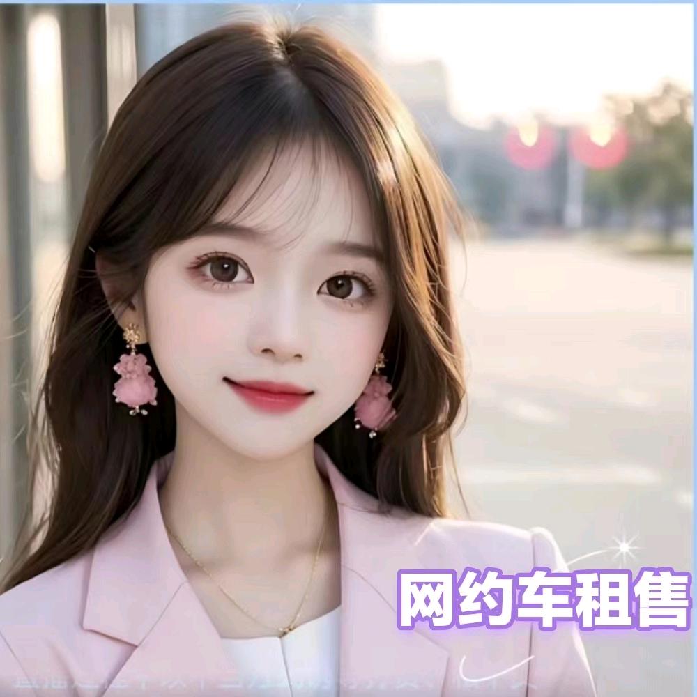 黑哥二手网约车小月