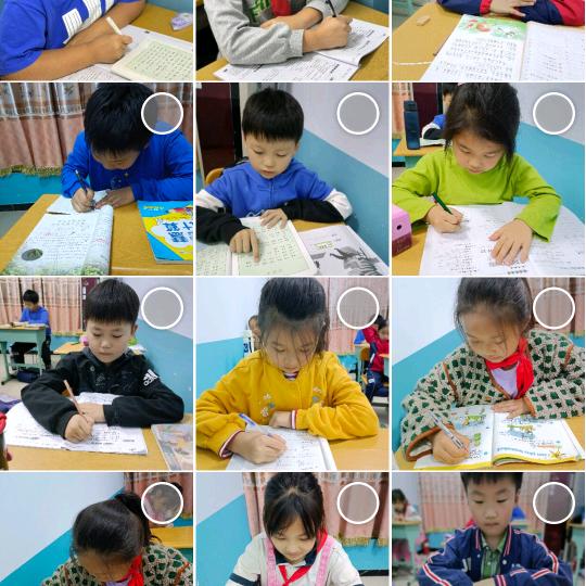 卓优托管杨老师