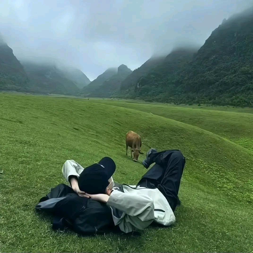 清酒孤欢