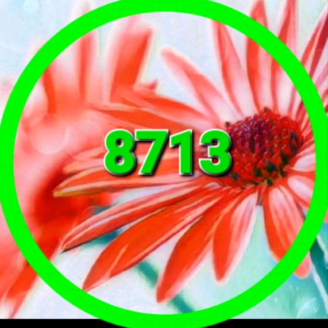 8713登勝