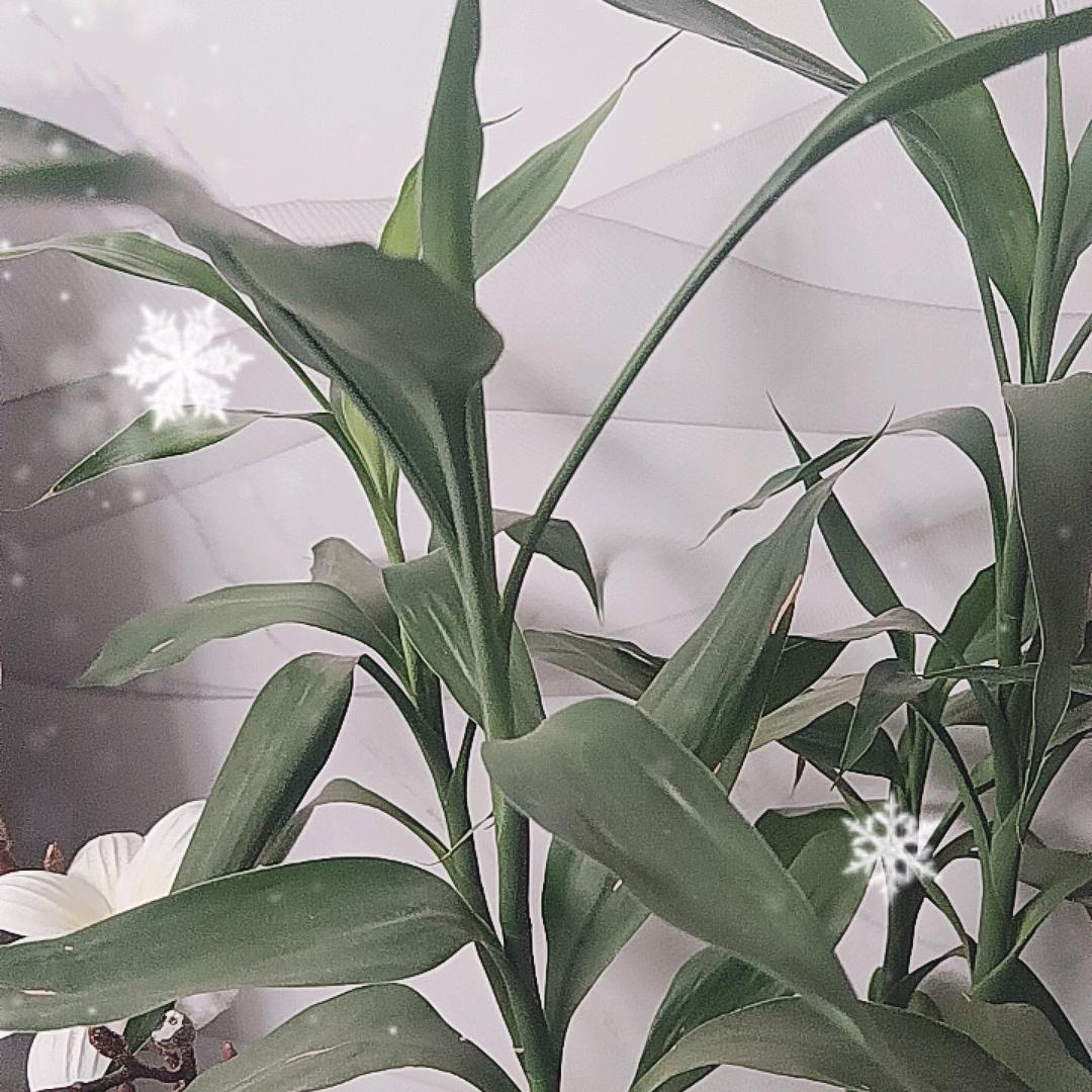 晨钧英户外
