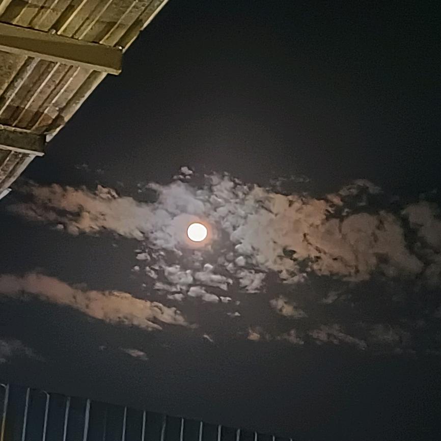 沿途的风景边走边看