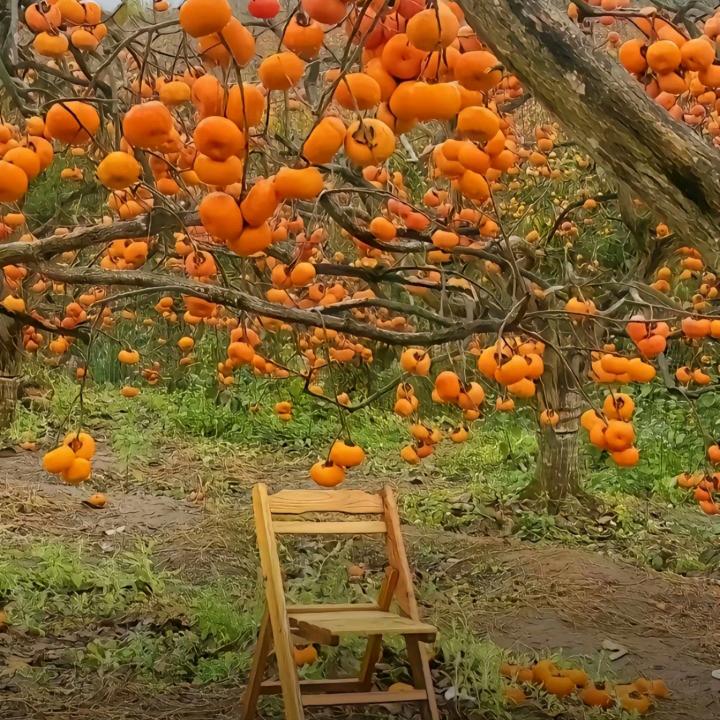 阿凡