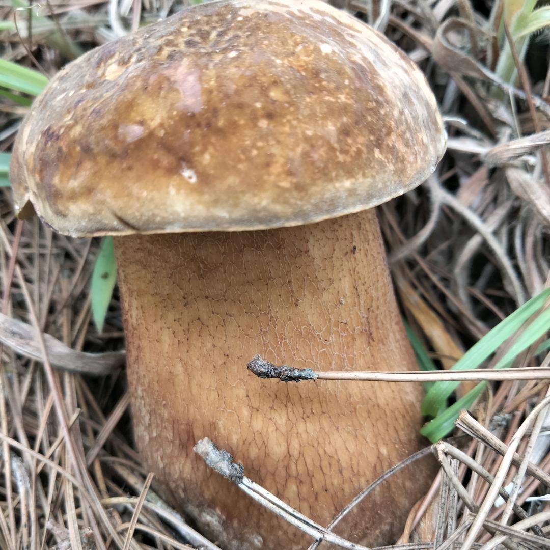 有缘千里来相会