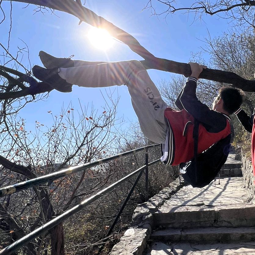 机
