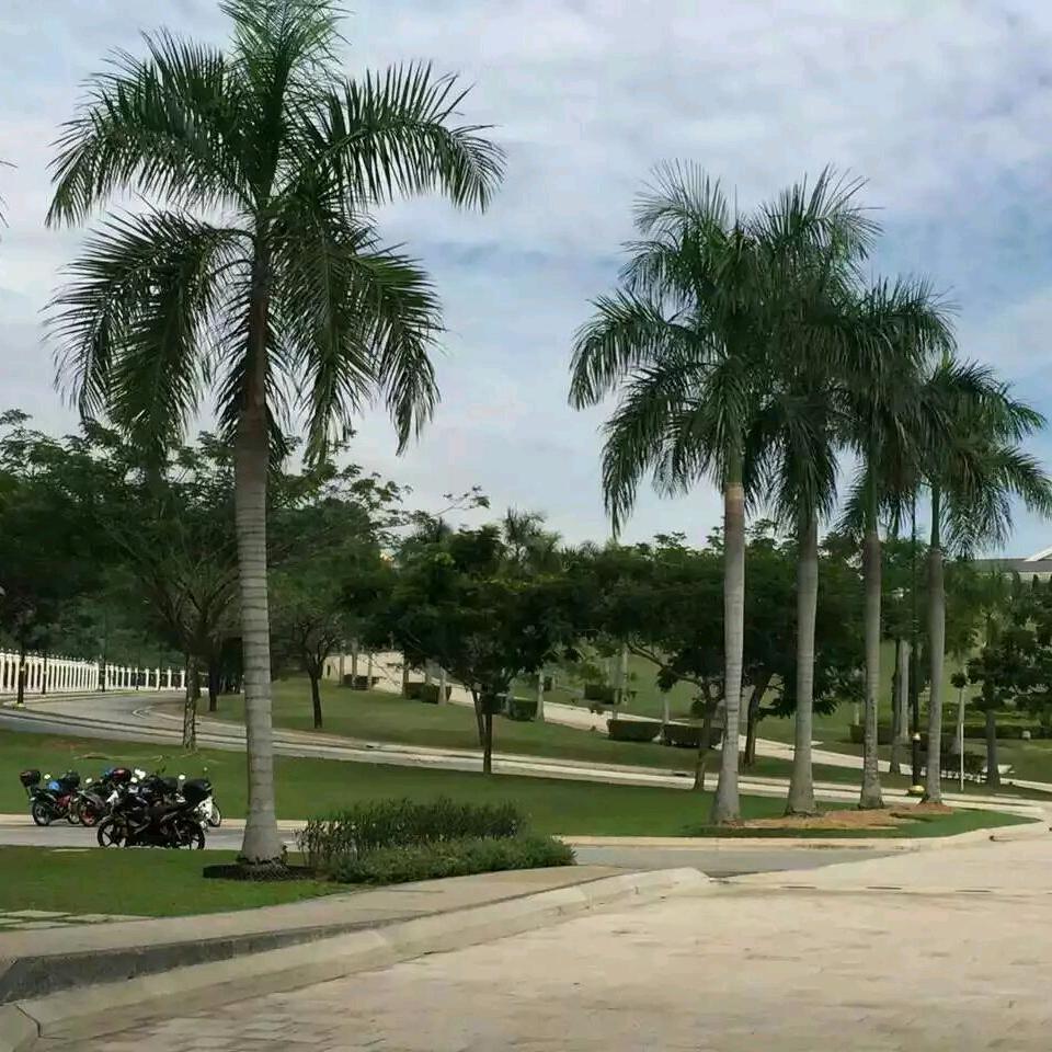 .｡♡心向暖阳♡｡