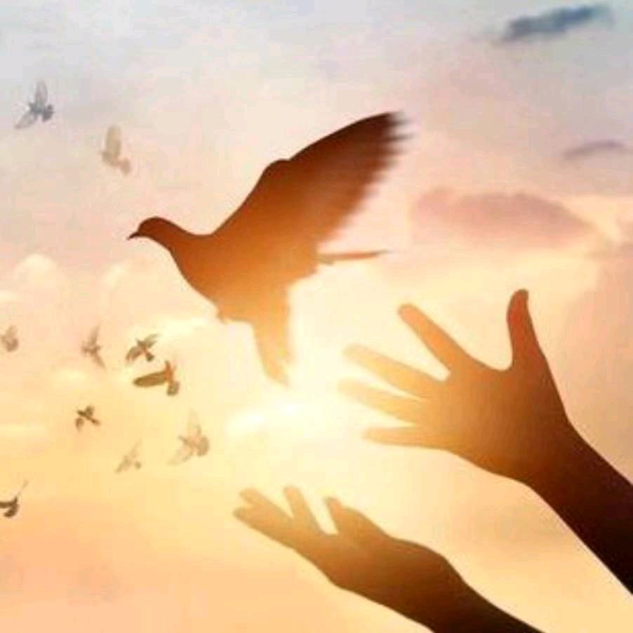 ঞৣঁপ᭄᪲万事皆☬如愿꫞꧂