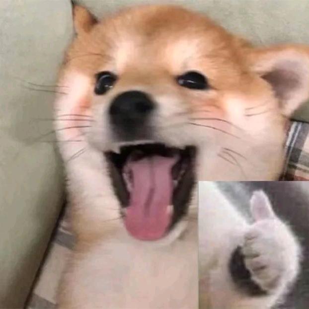 白狗剩