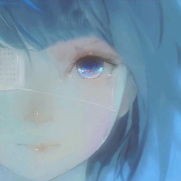 沐卉