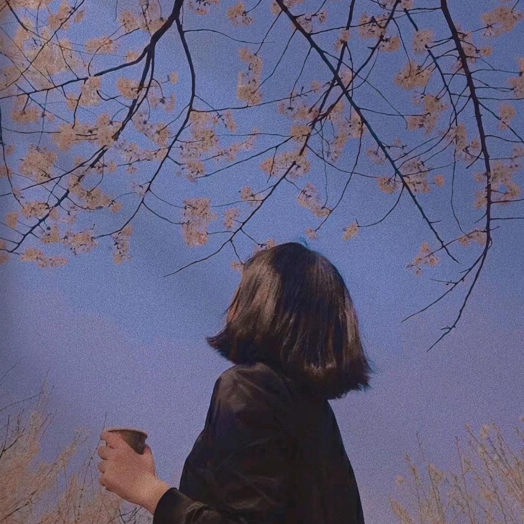 ღ不予꧔ꦿ᭄