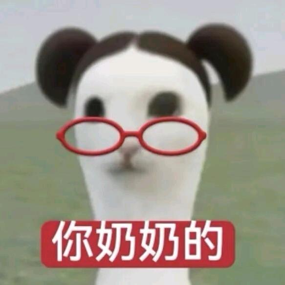 番茄番茄番茄🍅