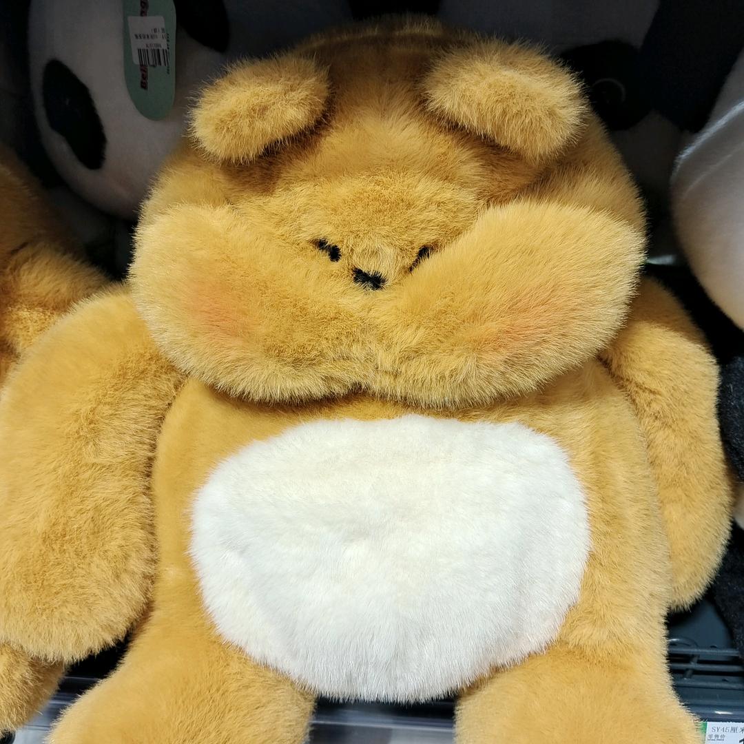 风之迷兔