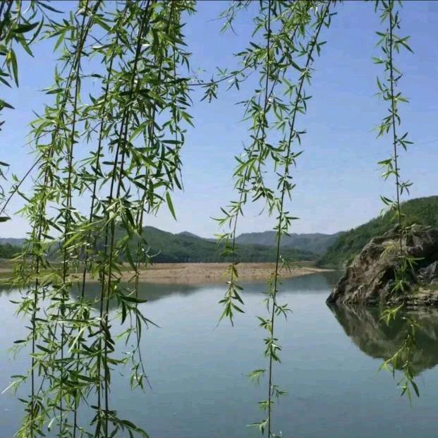 景闹