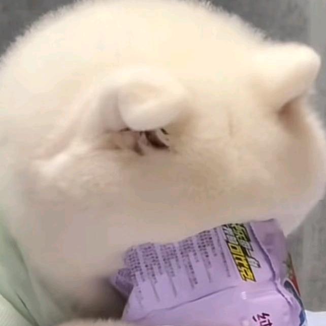 小颐