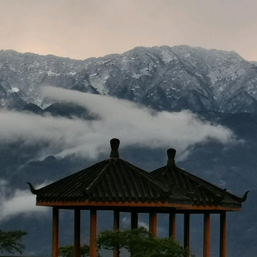 逗咪
