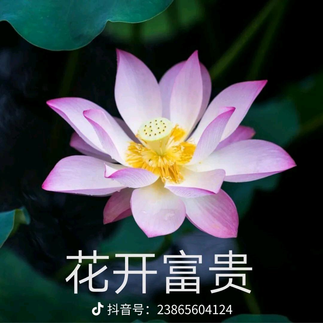 ๑•́₃•̀๑努力拼搏。