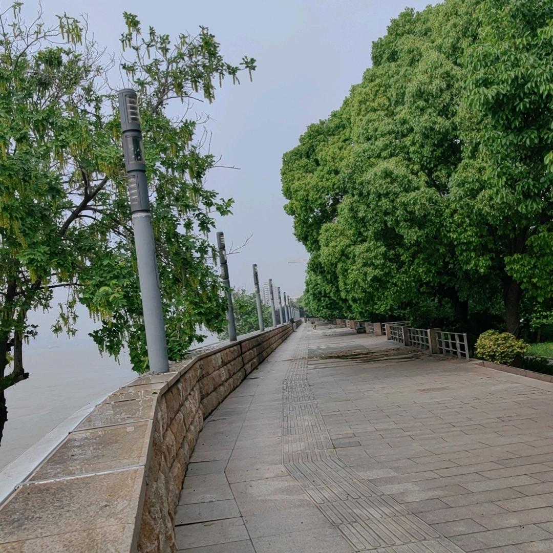 李白不白