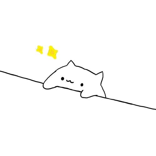 愿望藏在星星里⭐