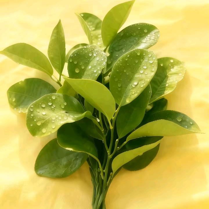 草莓的心情