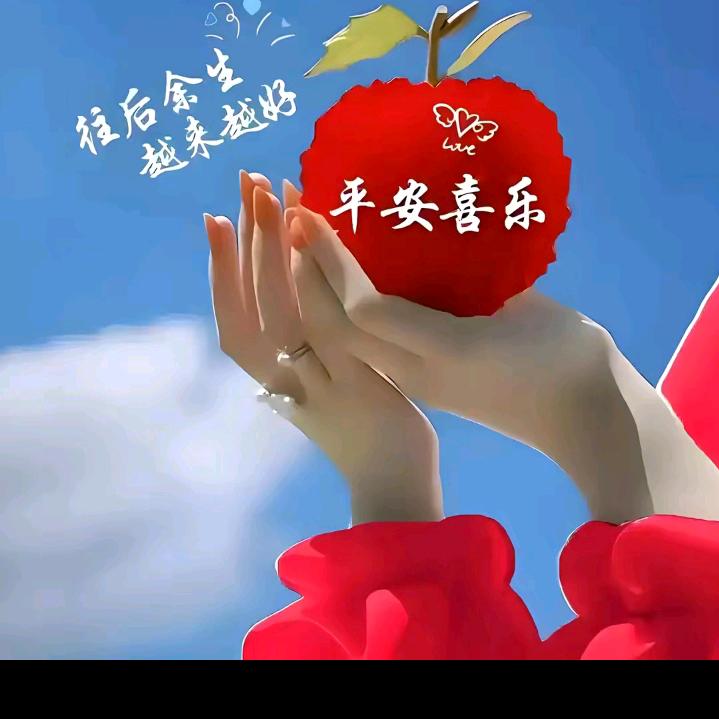 前路漫漫亦灿灿