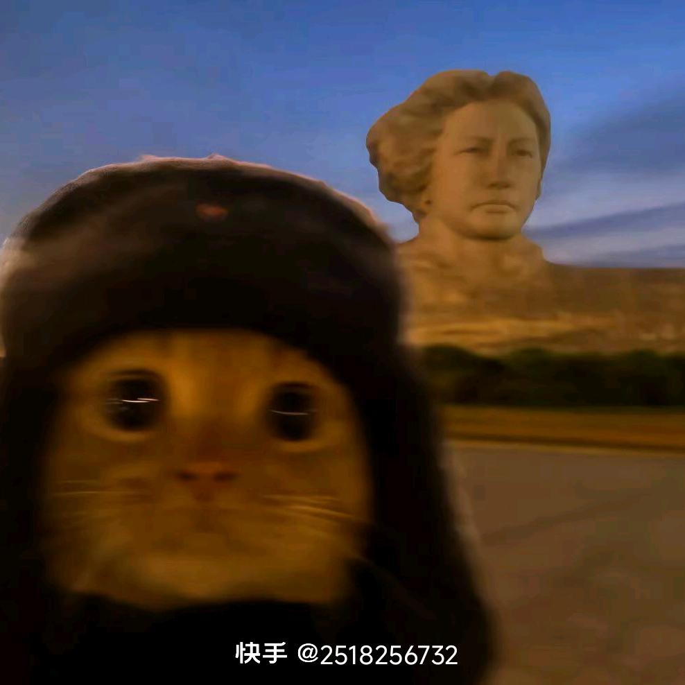 皮特