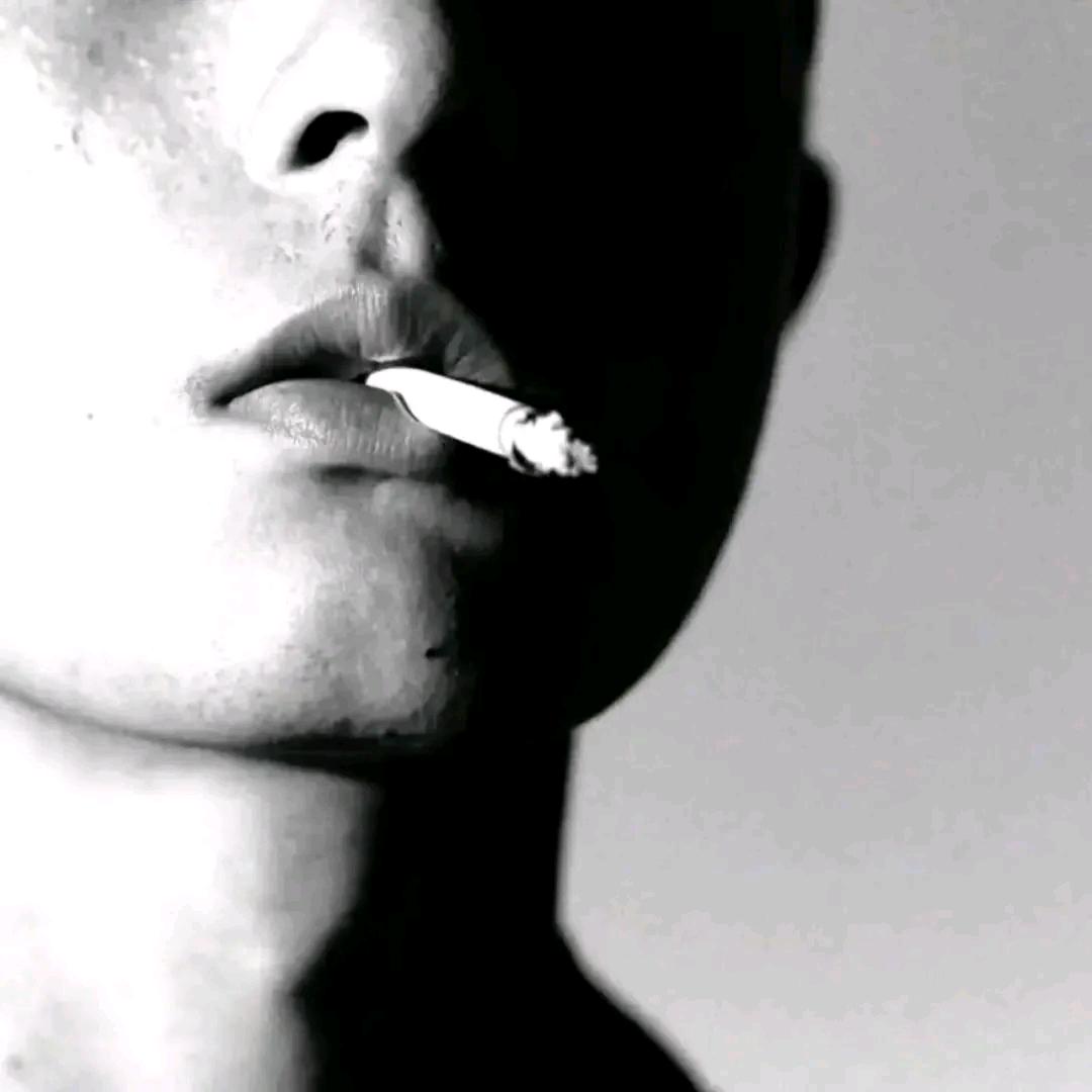 小春青提