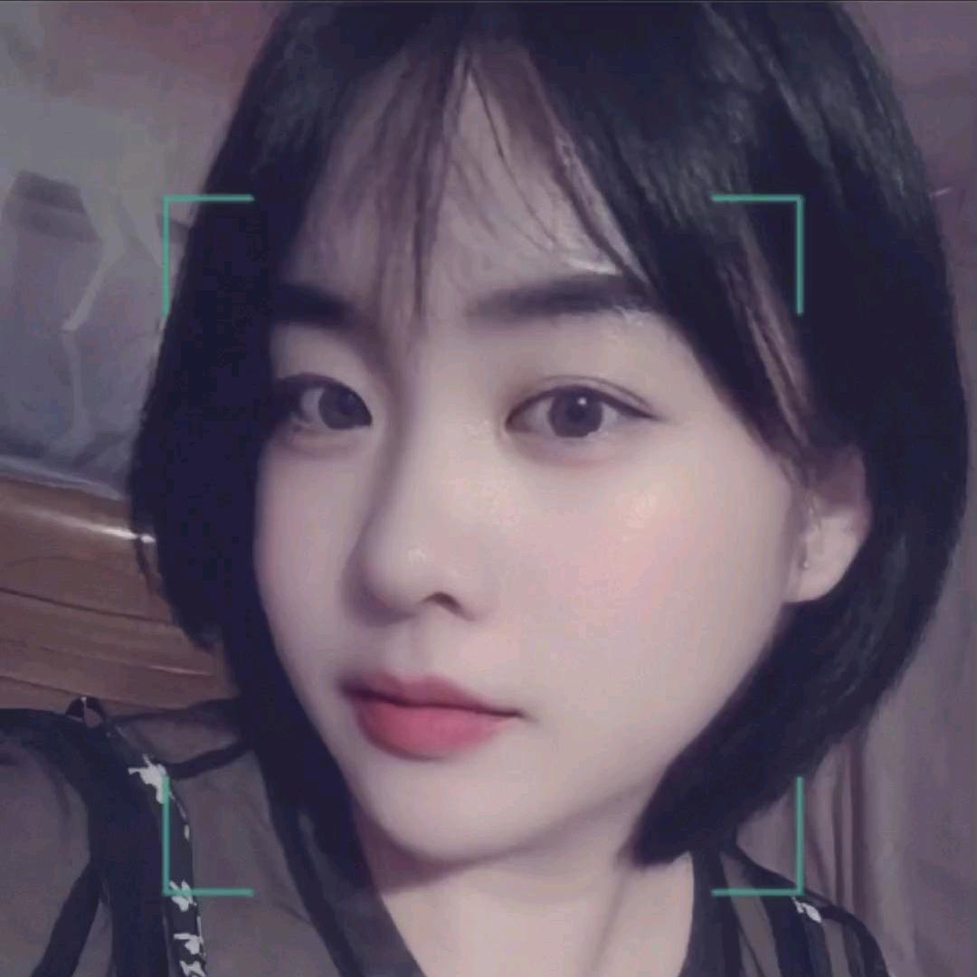 山东宠物狗繁殖（犬舍）