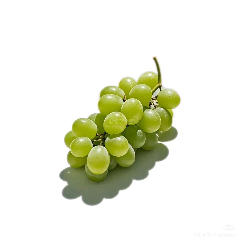 冷漠的葡萄公主