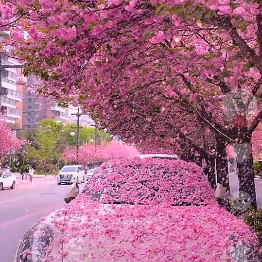 暖心向阳