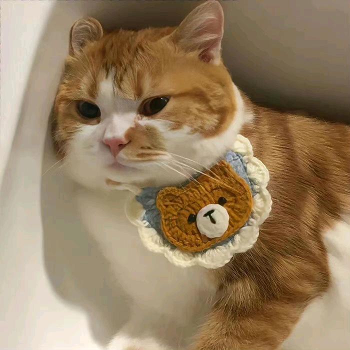 咪宝家的大可爱