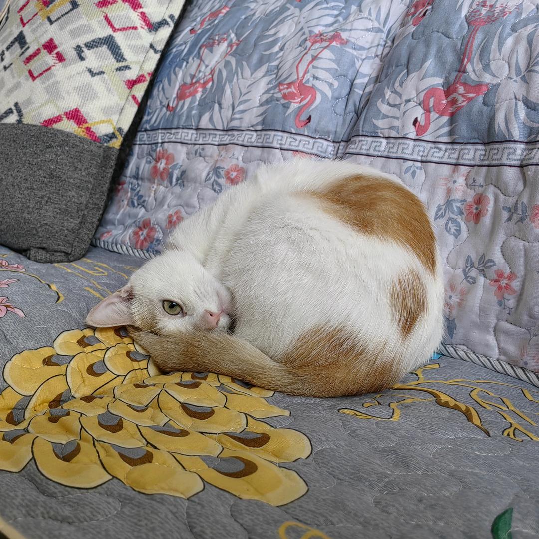 煮一壶清酒等故人归