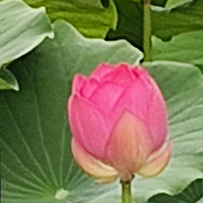 原点