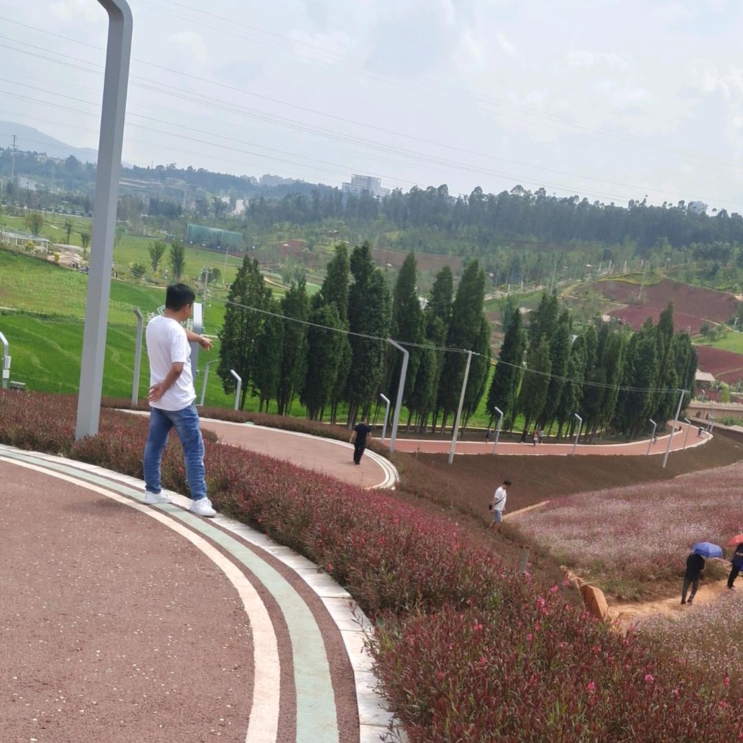 华岳挂车  王岩