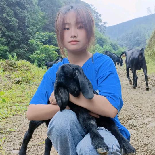 云南放羊妹