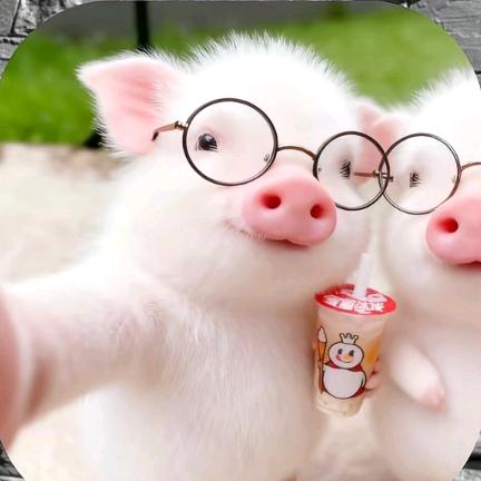 雪霁（吃丹修仙）