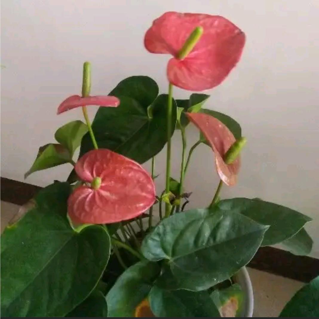 冷暖自知