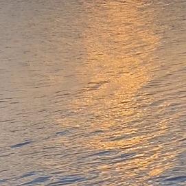 我要成为抽象大王🤡！！！