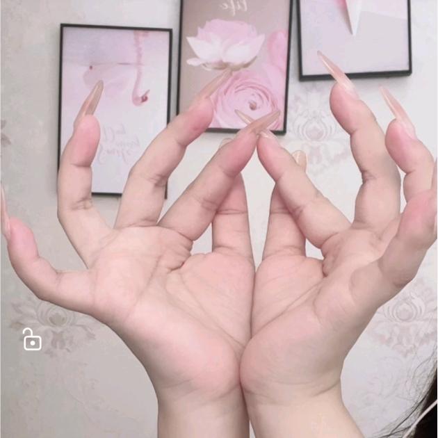媛宝吖🦚