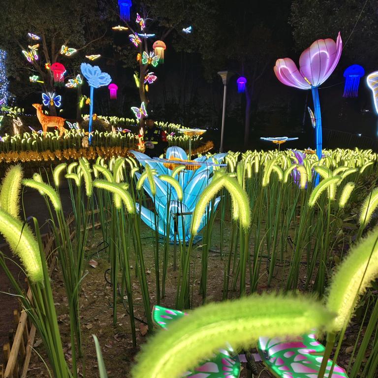 英语老师Miss Sophie