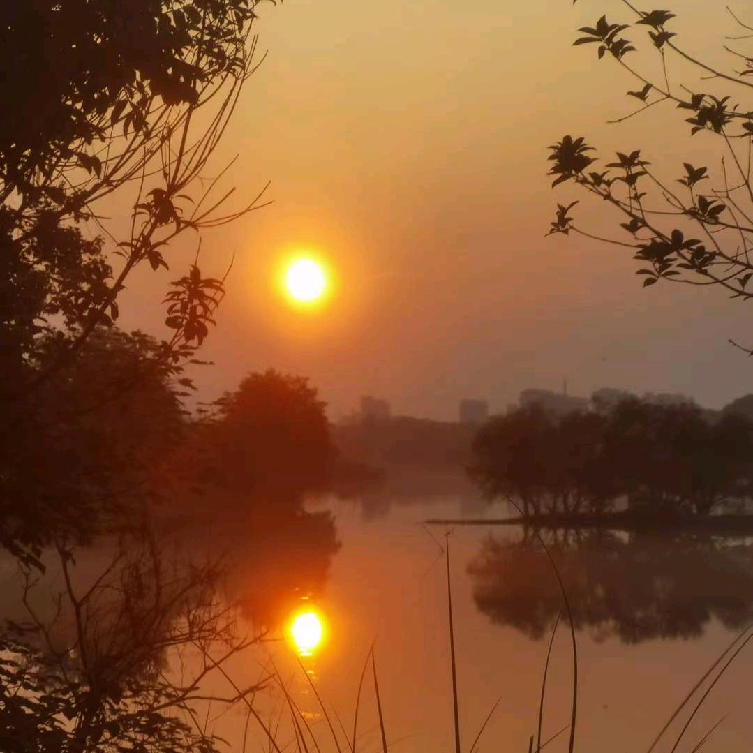 牛牛（谢绝连赞）